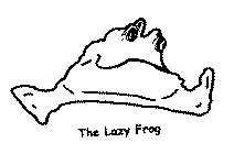 THE LAZY FROG