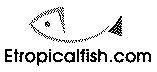 ETROPICALFISH.COM