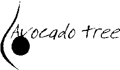 AVOCADO TREE