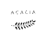 ACACIA & DESIGN