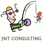 JNT CONSULTING