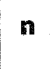 N1