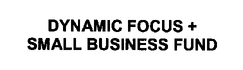 DYNAMIC FOCUS + SMALL BUSINESS FUND