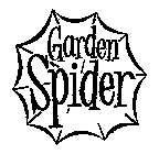 GARDEN SPIDER