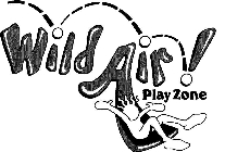 WILD AIR! PLAY ZONE