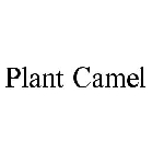 PLANT CAMEL