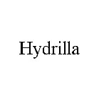 HYDRILLA