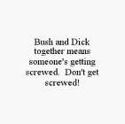 BUSH AND DICK TOGETHER MEANS SOMEONE'S GETTING SCREWED.  DON'T GET SCREWED!