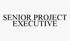 SENIOR PROJECT EXECUTIVE