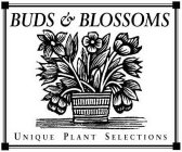 BUDS & BLOSSOMS UNIQUE PLANT SELECTIONS