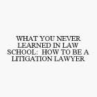 WHAT YOU NEVER LEARNED IN LAW SCHOOL: HOW TO BE A LITIGATION LAWYER
