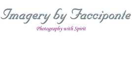 IMAGERY BY FACCIPONTE, PHOTOGRAPHY WITH SPIRIT