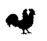 Image Trademark