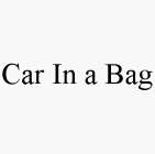 CAR IN A BAG
