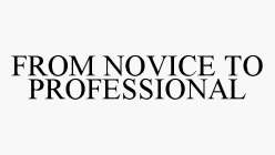 FROM NOVICE TO PROFESSIONAL