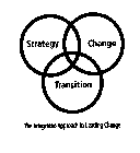 STRATEGY CHANGE TRANSITION THE INTEGRATED APPROACH TO LEADING CHANGE