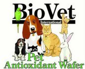 BIO VET INTERNATIONAL ANTIOXIDANT PET WAFER
