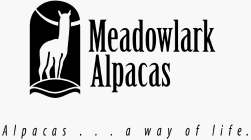 MEADOWLARK ALPACAS ALPACAS...A WAY OF LIFE.