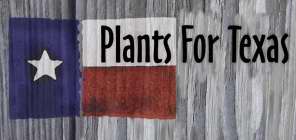 PLANTS FOR TEXAS