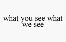 WHAT YOU SEE WHAT WE SEE