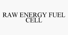 RAW ENERGY FUEL CELL