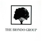 THE BIONDO GROUP
