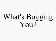 WHAT'S BUGGING YOU?