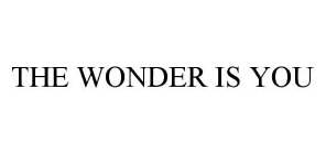 THE WONDER IS YOU