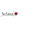 JESARE