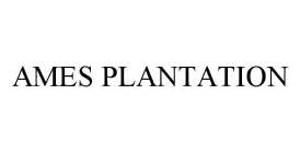 AMES PLANTATION