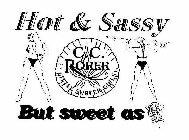 HOT AND SASSY BUT SWEET AS C.C. RORER LITTLE SURFER GIRLS
