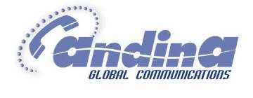 ANDINA GLOBAL COMMUNICATIONS