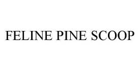 FELINE PINE SCOOP
