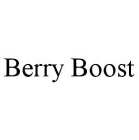 BERRY BOOST