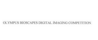 OLYMPUS BIOSCAPES DIGITAL IMAGING COMPETITION