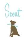 SCOUT