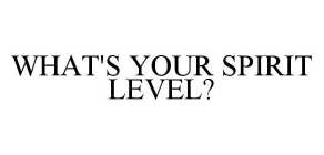 WHAT'S YOUR SPIRIT LEVEL?