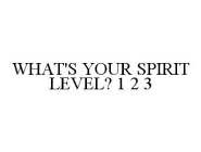 WHAT'S YOUR SPIRIT LEVEL? 1 2 3