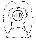 DB