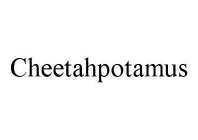 CHEETAHPOTAMUS