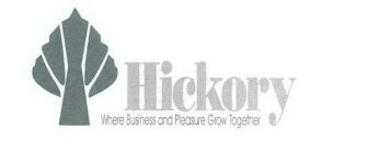 HICKORY WHERE BUSINESS AND PLEASURE GROW TOGETHER