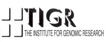 TIGR THE INSTITUTE FOR GENOMIC RESEARCH
