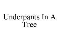 UNDERPANTS IN A TREE