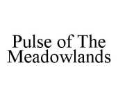 PULSE OF THE MEADOWLANDS