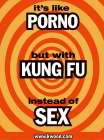 IT'S LIKE PORNO BUT WITH KUNG FU INSTEAD OF SEX