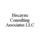 BISCAYNE CONSULTING ASSOCIATES LLC