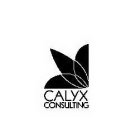 CALYX CONSULTING