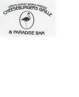 VERN'S ALMOST WORLD FAMOUS CHEESEBURGERS GRILLE & PARADISE BAR