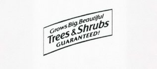 GROWS BIG, BEAUTIFUL TREES & SHRUBS GUARANTEED!