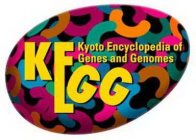 KEGG KYOTO ENCYCLOPEDIA OF GENES AND GENOMES